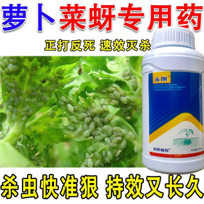 萝卜菜蚜杀虫药专用菜蚜灭虫药萝卜菜蚜杀虫剂菜蚜除虫药专杀菜蚜