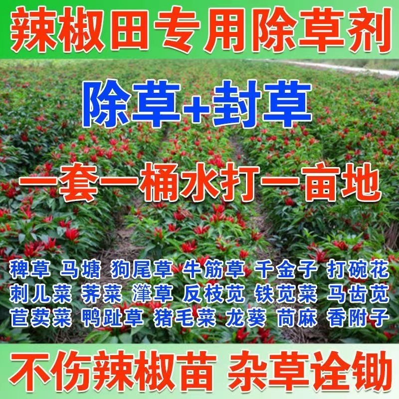 辣椒田除草剂辣椒除草剂定向喷雾不伤苗杂草辣椒田专用除草剂正品