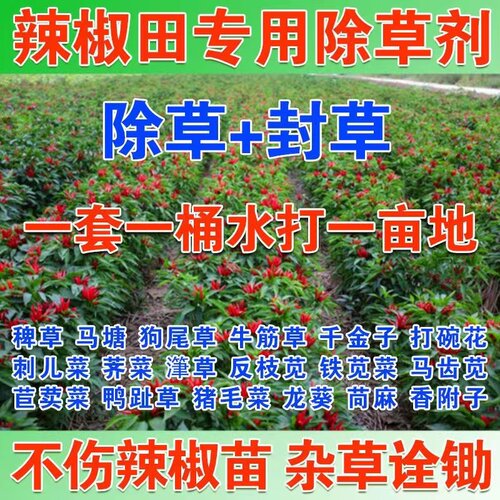 辣椒田除草剂辣椒除草剂定向喷雾不伤苗杂草辣椒田专用除草剂正品