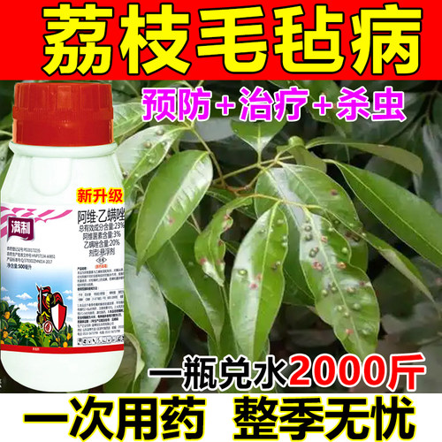 荔枝毛毡病瘿螨专用药荔枝瘿螨红蜘蛛杀虫剂阿维乙螨唑螨虫杀虫药