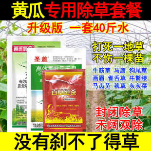 黄瓜专用除草剂黄瓜除草药禾阔双除不伤瓜苗马塘灰灰菜狗尾草正品