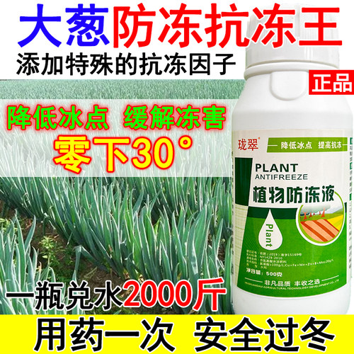 大葱防冻液叶面肥大葱防冻剂增产蔬菜植物防冻防抗寒冻专用肥正品
