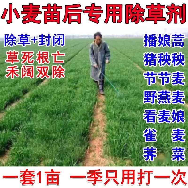 小麦田苗后除草剂小麦除草剂节节麦一年生阔叶禾本科杂草除草剂