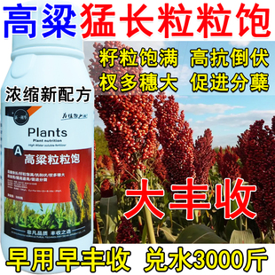 高粱专用叶面肥高粱肥料专用肥高粱高产粒粒饱生根壮苗促进分蘖