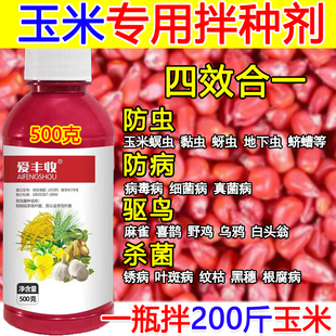 玉米拌种剂包衣剂玉米专用拌种药微生物菌剂抗病菌玉米悬浮种衣剂