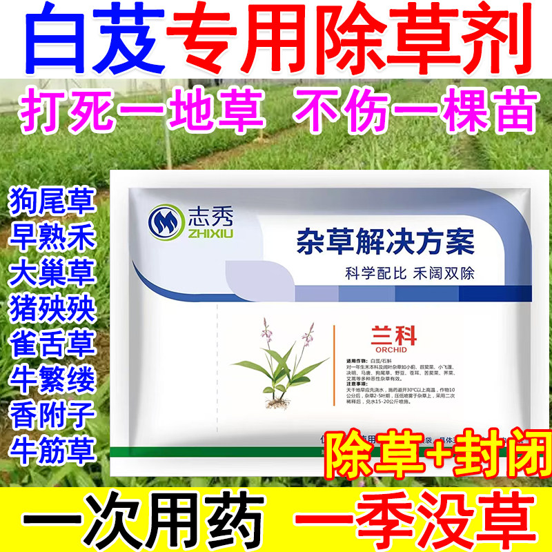 白芨苗后除草剂白芨专用除草剂兰科除草剂禾阔双除不伤苗白芨除草