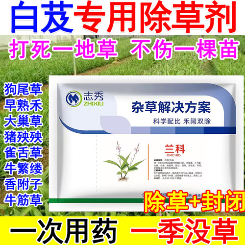 白芨苗后除草剂白芨专用除草剂兰科除草剂禾阔双除不伤苗白芨除草