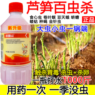 芦笋杀虫剂芦笋专用杀虫药强效百虫杀虫卵双杀蛴螬蝼蛄种蝇