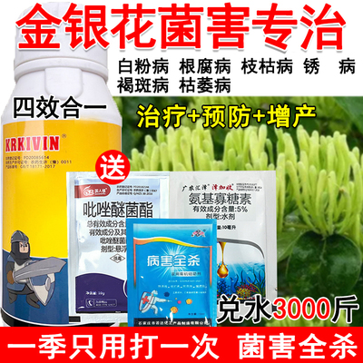 金银花病全治金银花杀菌剂专治全杀根腐病白粉病枝枯病杀菌药正品