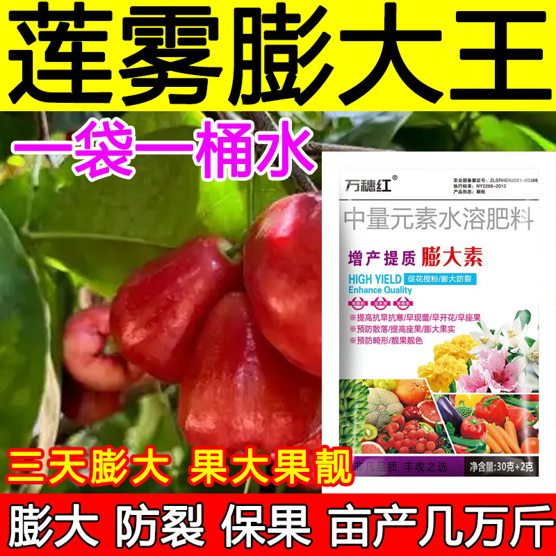 莲雾膨大素膨果增产肥料莲雾膨大剂肥料保花保果膨大防落正品,农用物资,叶面肥,淘宝优惠券,粉丝福利购,淘宝优惠卷