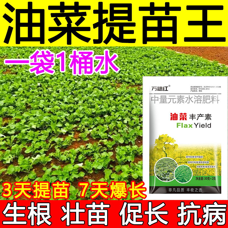 油菜提苗暴长剂生根壮苗防死苗僵苗抗倒伏抗病促长增产油菜专用肥