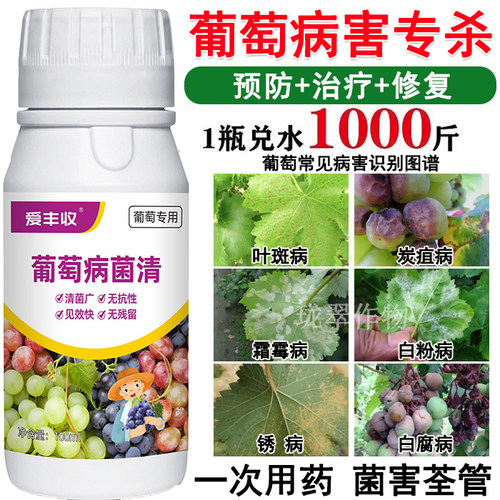 葡萄杀菌剂葡萄病菌清病全杀叶斑病炭疽病霜霉病白粉病杀菌剂