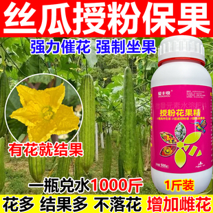 丝瓜授粉药丝瓜授粉坐果精座果灵保花保果沾花素果树樱桃柑橘授粉