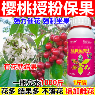 樱桃授粉药樱桃授粉坐果精座果灵保花保果沾花素果树樱桃柑橘授粉