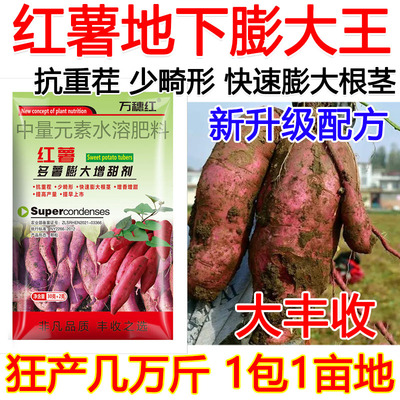 红薯控旺膨大红薯膨大叶面肥红薯控旺膨大增产肥料地下猛长增产肥