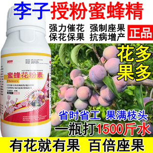 李子授粉座果精李子授粉药沾花素保花保果多花多果花粉素抗病防落