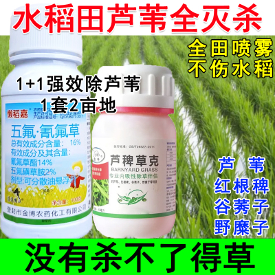 水稻田芦苇除草剂芦苇专用除草助剂水稻苗后芦苇除草剂稗草谷莠子