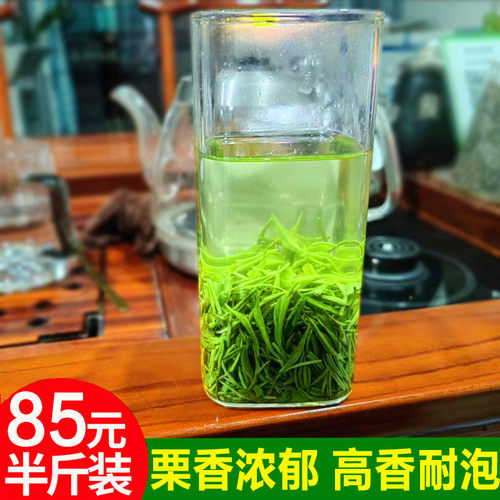 自己喝待客信阳毛尖品质好茶