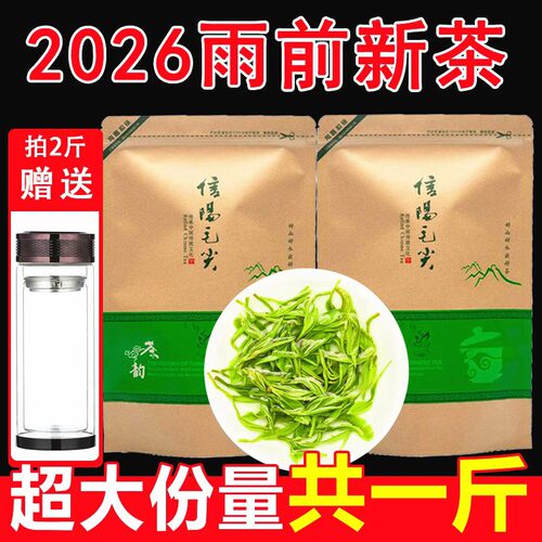2026新茶毛尖绿茶散装茶叶正宗雨前春茶500g袋装浓香型信阳毛尖