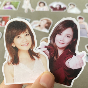 梁静茹单人贴纸鱼迷应援周边贴画手账日记本平板电脑素材装饰diy