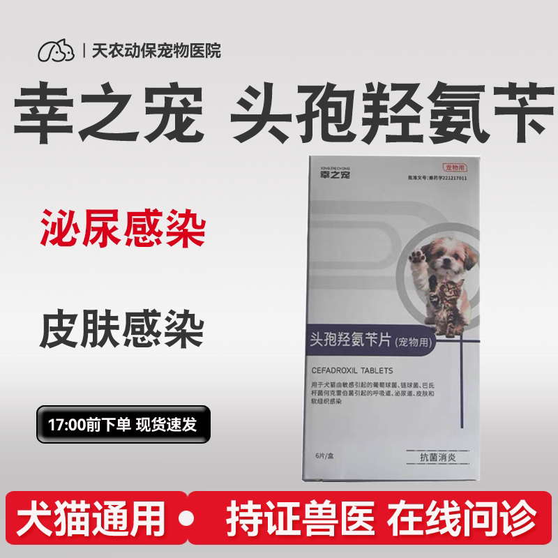 猫狗脓皮症伤口消炎感冒尿路尿血