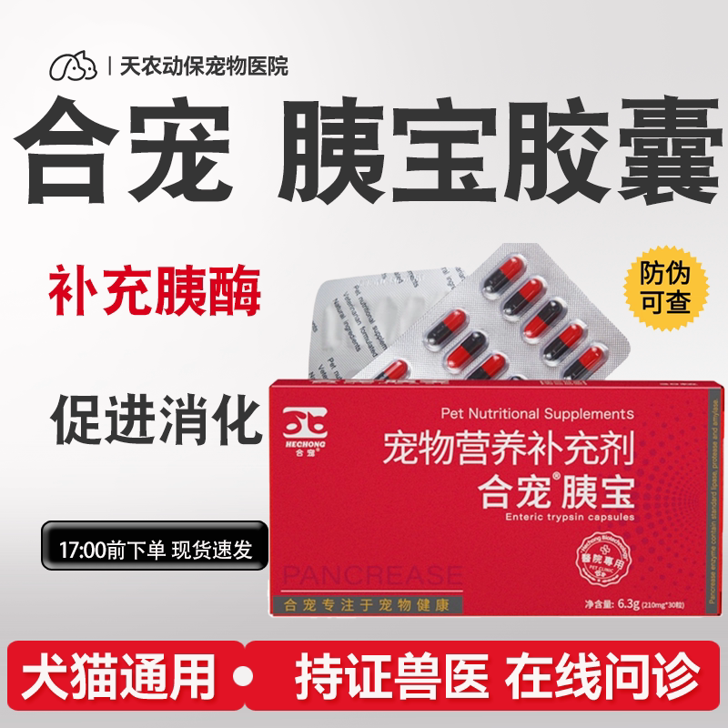 猫狗胰酶补充促进消化营养补充剂