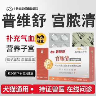 宫脓清宠物狗狗猫咪宫脓净假孕回奶子宫蓄脓积液内膜炎流血感染