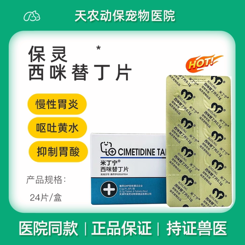 犬猫慢性胃炎溃疡呕吐反酸吐黄水
