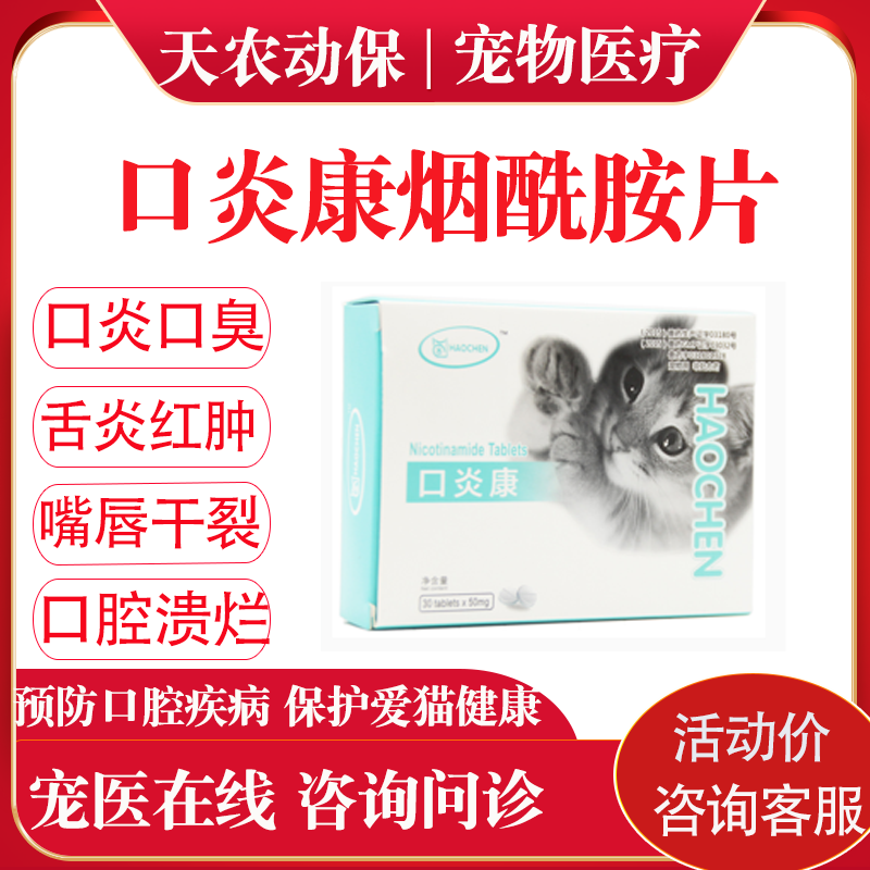 猫狗摩登狗口腔牙龈红肿营养补充