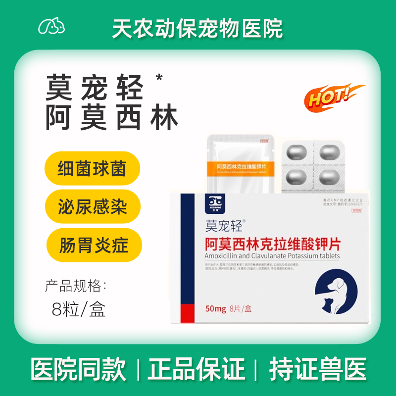 犬猫感冒咳嗽打喷嚏流鼻涕速诺药
