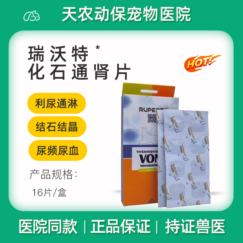 犬猫尿路感染结石膀胱炎排石结石