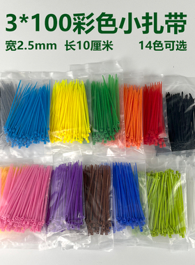 彩色尼龙扎带 3x100 蓝红黄绿橙黑白桃红 小迷你塑料扎带 2.5mm宽