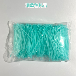 湖蓝色 100 淡蓝色尼龙扎带彩色塑料扎带绑带3