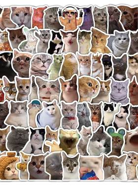 303张猫meme贴纸可爱搞笑鬼畜猫咪ins风表情包梗图素材手账本贴画