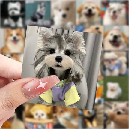 59张写实风狗狗贴纸可爱卡通高颜值装饰手机壳笔记本电脑防水贴画