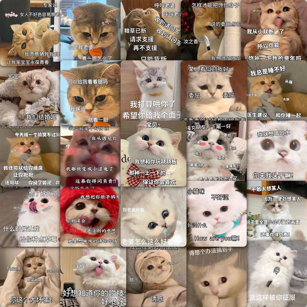 59张情侣小猫贴纸卡通可爱高颜值装饰手机壳笔记本防水贴画自粘