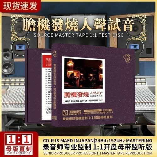 天国的女儿正版cd母盘直刻hifi试音发烧人声无损高音质车载cd碟片