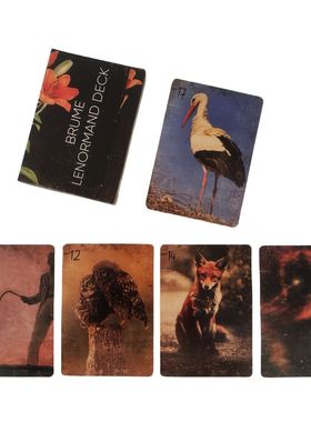 【现货】Brume lenormand 迷雾雷诺曼36通用系