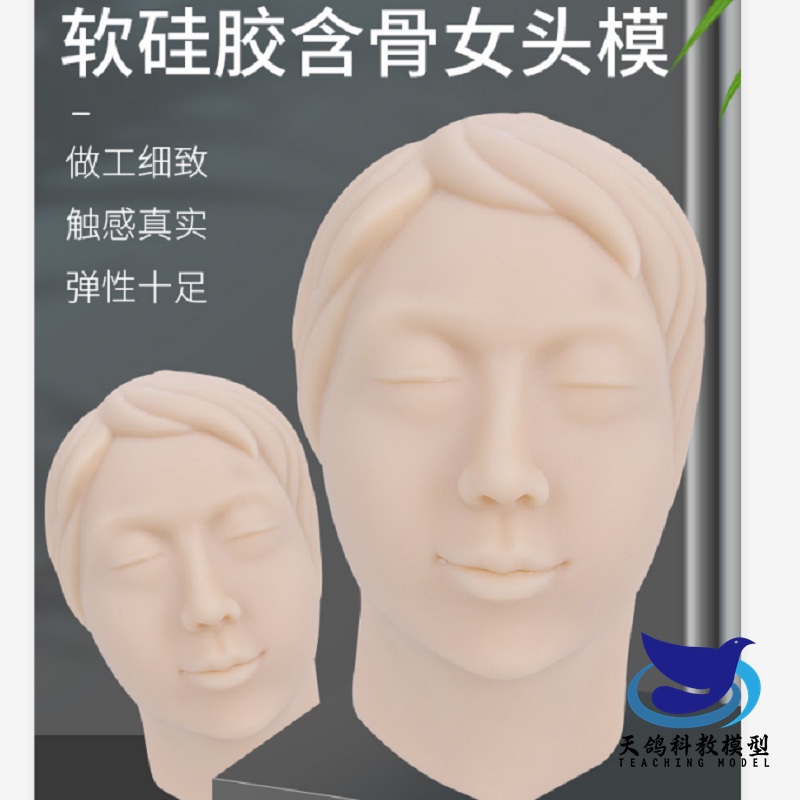 软体女性硅胶头模含骨骼 微整形线雕脸部 面部美容注射缝合模型
