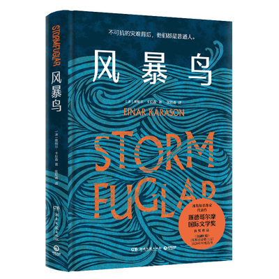 风暴鸟 埃纳尔·卡拉森 以文学讲述还原一场真实海难 外国文学小说 冰岛北欧 灾难 力量 博集天卷