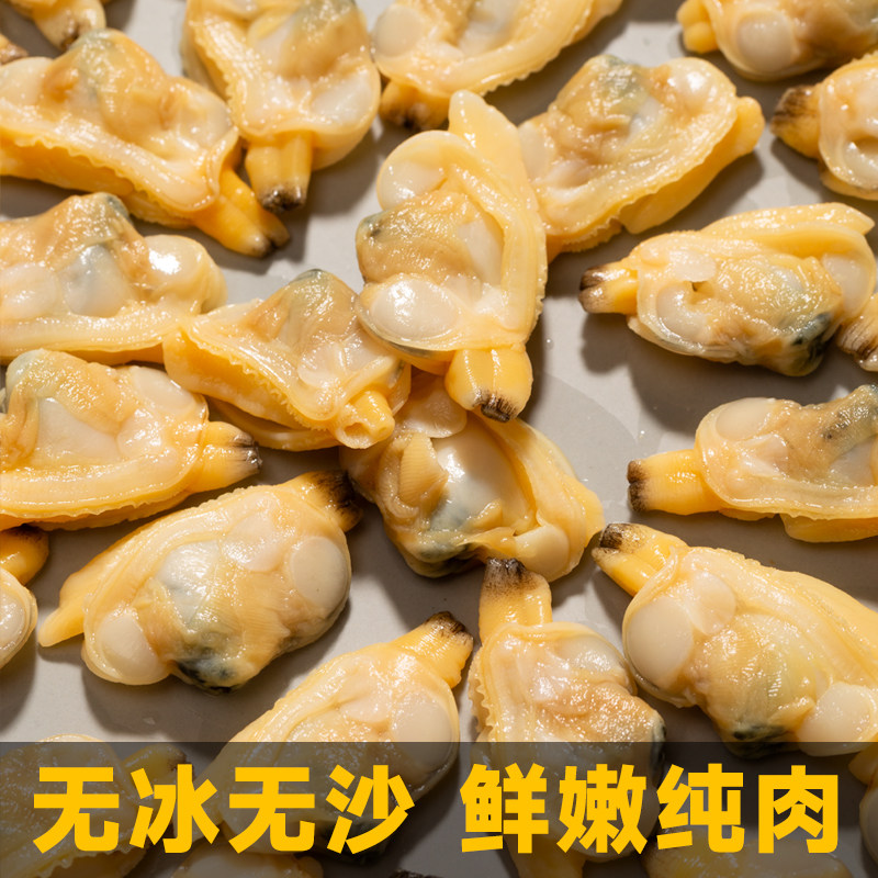 蛤蜊肉黄蚬子肉新鲜花甲肉鲜活花甲剥肉无沙蛤蜊肉花蛤肉海鲜商用