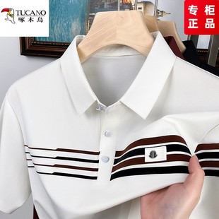 商务休闲条纹polo衫 啄木鸟夏季 t恤薄款 男士 上衣 冰丝凉感透气短袖