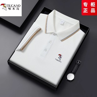 t恤冰丝休闲百搭纯色POLO衫 啄木鸟2025年夏季 翻领短袖 新款 潮 男士