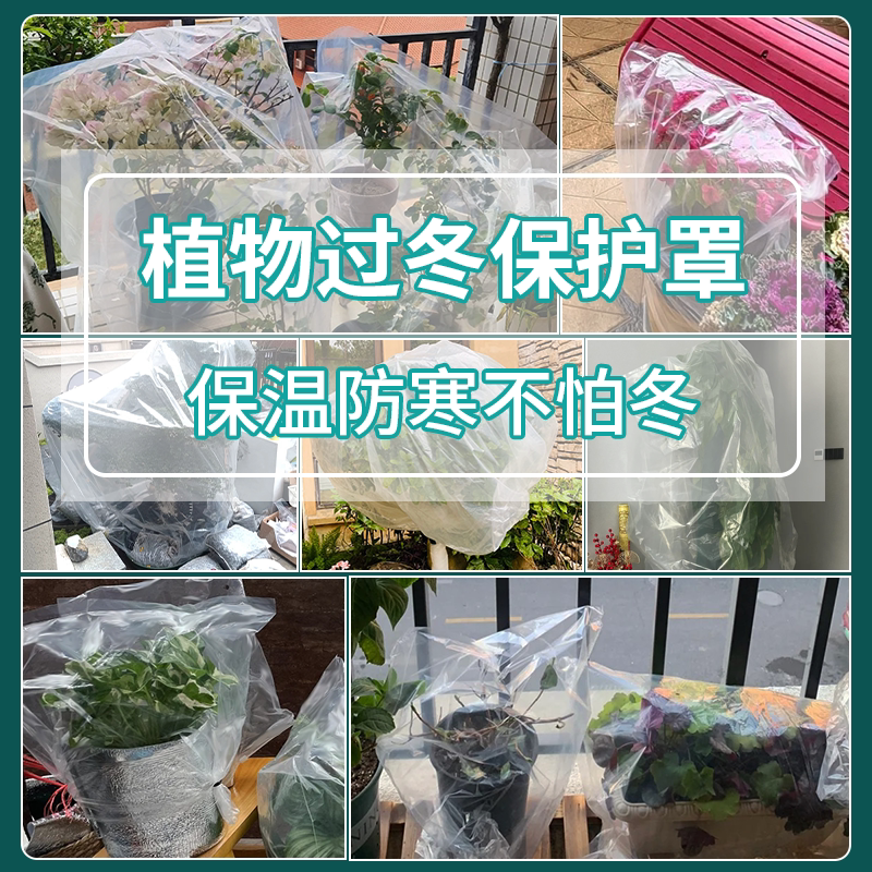 植物防寒保暖罩保温布袋花架花卉栽绿植果树木透气防冻罩子加厚款