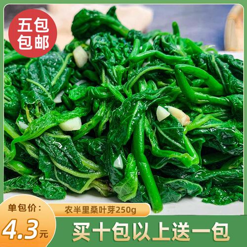 桑叶芽250g新鲜桑叶苗上汤桑叶菜食用嫩桑叶尖冷冻半成品餐饮商用