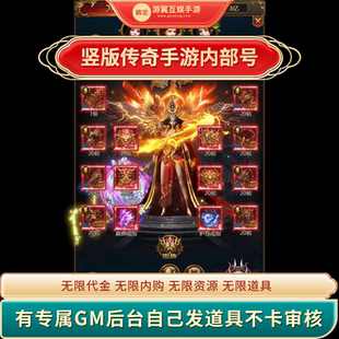 龙城无限代金内购gm后台买断游戏竖版传奇手游内部号联网三端互通