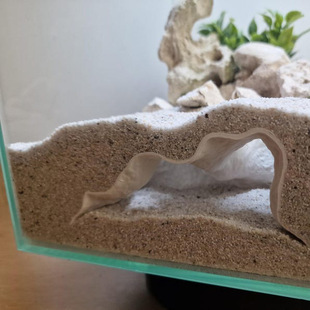 小鱼小虾躲避屋生态繁殖造景摆件鱼缸洞穴底部砂石水下岩石洞躲藏