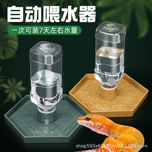 守宫水盆爬宠防逃食盆自动饮水器睫角豹纹肥尾蛇鬃狮蜥蜴饲养用品