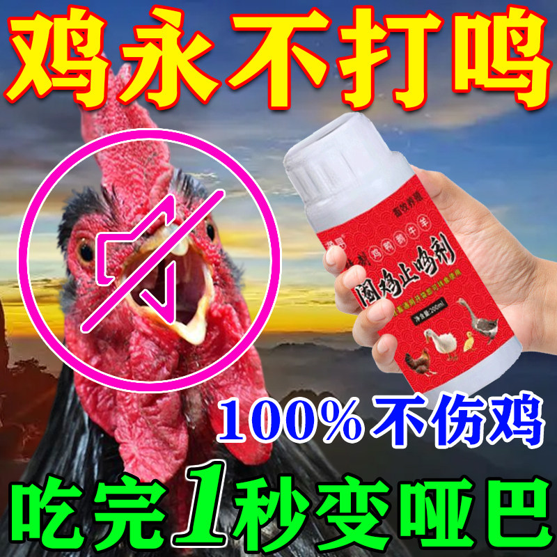 防止公鸡打鸣神器不让鸡鸭鹅乱叫阉鸡工具不打鸣哑巴专用药添加剂