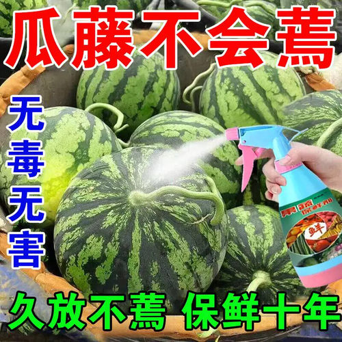 水果蔬菜保鲜剂食品延长储存专用防腐烂防焉专用杀菌剂喷洒浸泡液